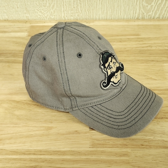 Lexington Legends RARE 2001 MiLB '47 Brand Franchise Hat Stretch-Fit - Picture 4 of 8